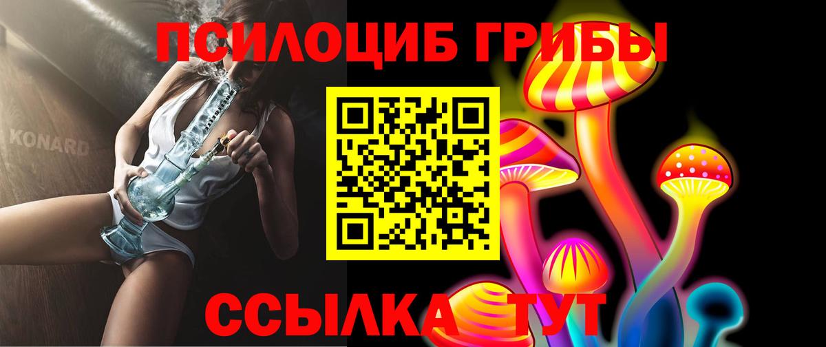 Вичуга  Галлюциногенные грибы мицелий  Вход с VPN  Псилоцибиновые грибы GOLDEN TEACHER 